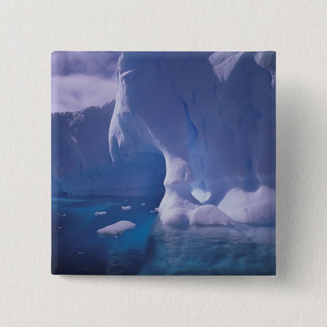 Antarctica. Antarctic icescapes 3 Pinback Button (Front)