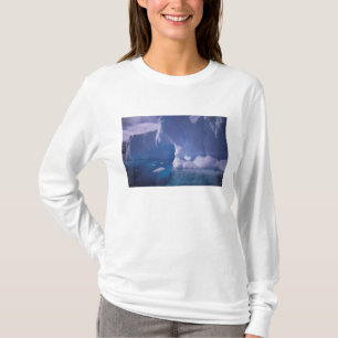 Antarctica. Antarctic icescapes 3 T-Shirt