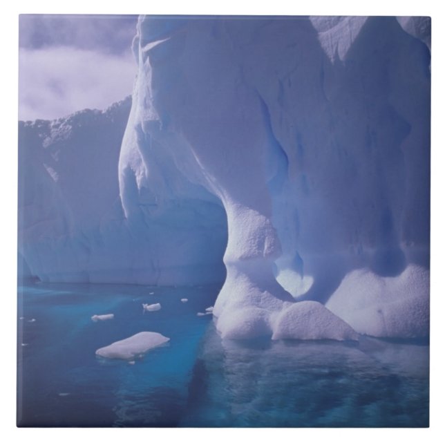 Antarctica. Antarctic icescapes 3 Tile (Front)