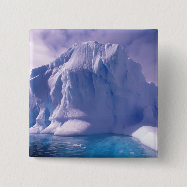 Antarctica. Antarctic icescapes Button (Front)