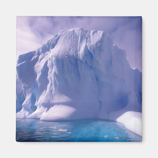 Antarctica. Antarctic icescapes Magnet (Front)