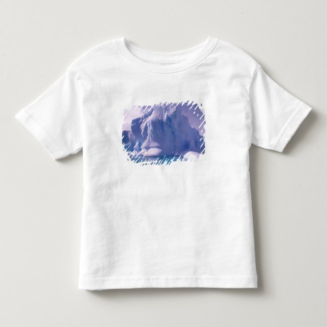 Antarctica. Antarctic icescapes Toddler T-shirt (Front)