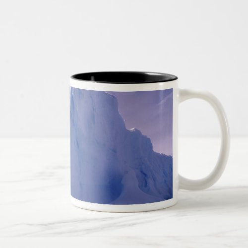 Antarctica Antarctic icescapes Two_Tone Coffee Mug