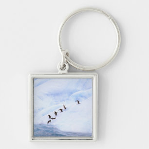 Antarctica, Antarctic Peninsula. Chinstrap Keychain