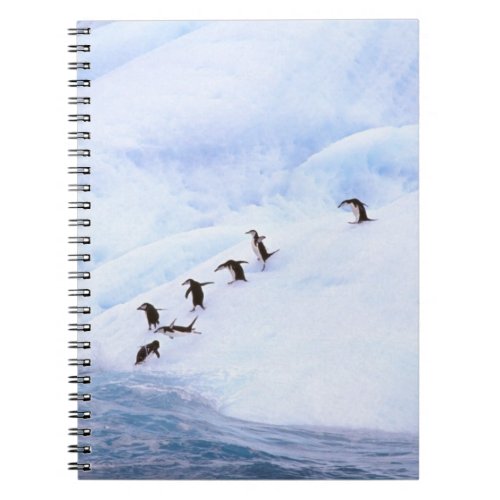 Antarctica Antarctic Peninsula Chinstrap Notebook