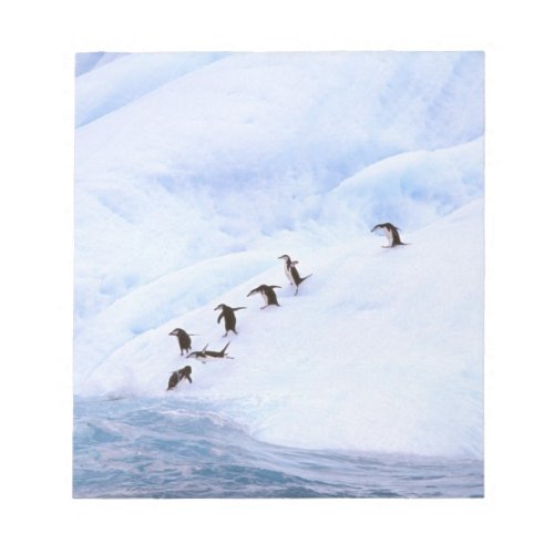 Antarctica Antarctic Peninsula Chinstrap Notepad