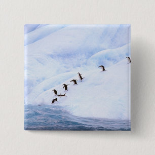 Antarctica, Antarctic Peninsula. Chinstrap Pinback Button