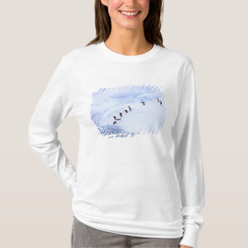 Antarctica Antarctic Peninsula Chinstrap T_Shirt