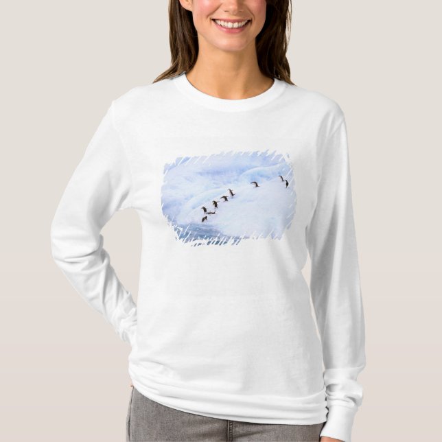 Antarctica, Antarctic Peninsula. Chinstrap T-Shirt (Front)