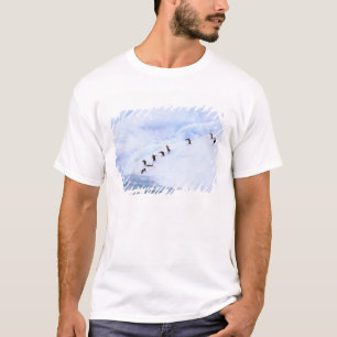 Antarctica, Antarctic Peninsula. Chinstrap T-Shirt