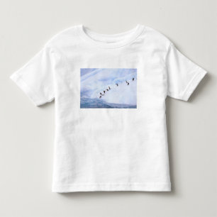 Antarctica, Antarctic Peninsula. Chinstrap Toddler T-shirt