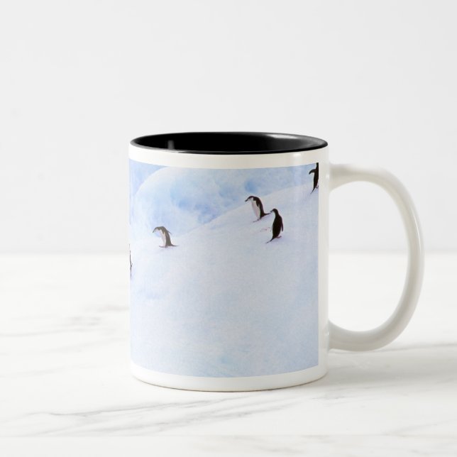 Antarctica, Antarctic Peninsula. Chinstrap Two-Tone Coffee Mug (Right)