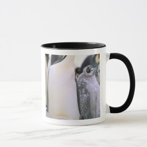 Antarctica Antarctic Peninsula Weddell Sea 2 Mug