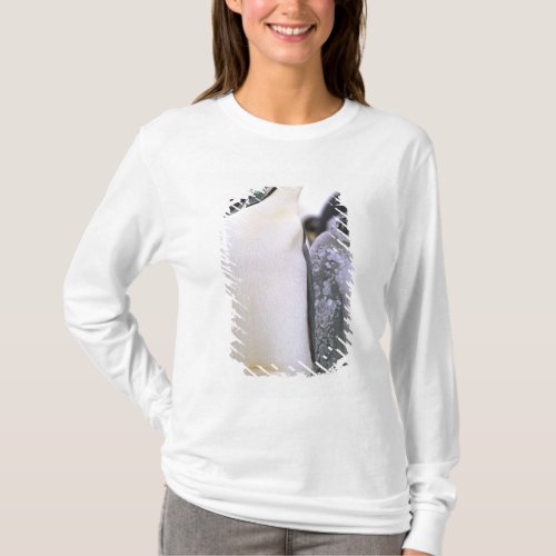 Antarctica Antarctic Peninsula Weddell Sea 2 T_Shirt