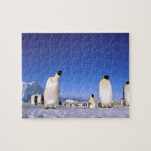 Antarctica Antarctic Peninsula Weddell Sea 3 Jigsaw Puzzle