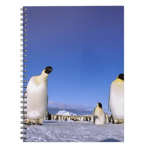 Antarctica Antarctic Peninsula Weddell Sea 3 Notebook