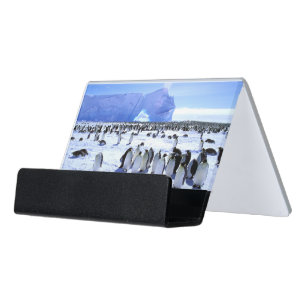 Antarctica, Antarctic Peninsula, Weddell Sea 5 Desk Business Card Holder