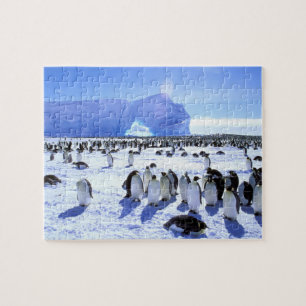 Antarctica, Antarctic Peninsula, Weddell Sea, 5 Jigsaw Puzzle