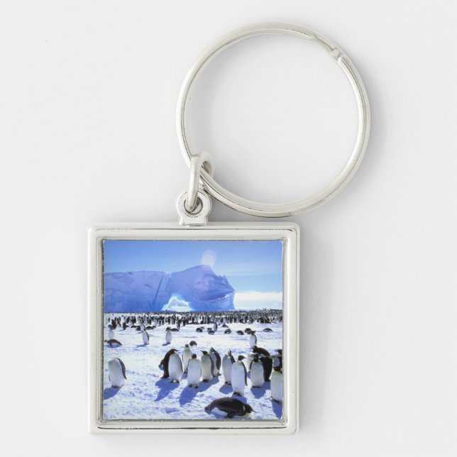 Antarctica, Antarctic Peninsula, Weddell Sea, 5 Keychain (Front)