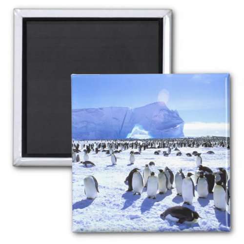 Antarctica Antarctic Peninsula Weddell Sea 5 Magnet