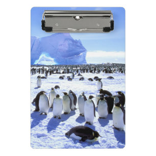 Antarctica, Antarctic Peninsula, Weddell Sea 5 Mini Clipboard