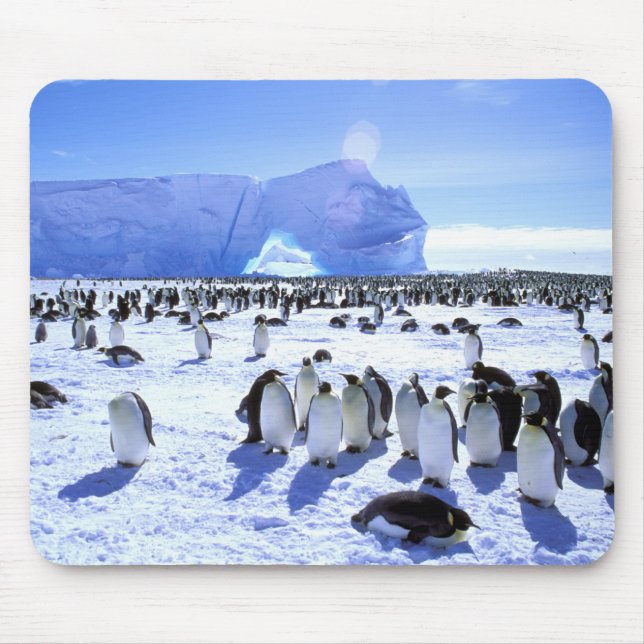 Antarctica, Antarctic Peninsula, Weddell Sea, 5 Mouse Pad (Front)