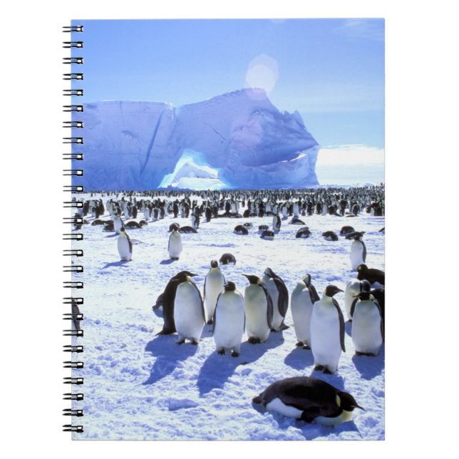 Antarctica, Antarctic Peninsula, Weddell Sea, 5 Notebook (Front)