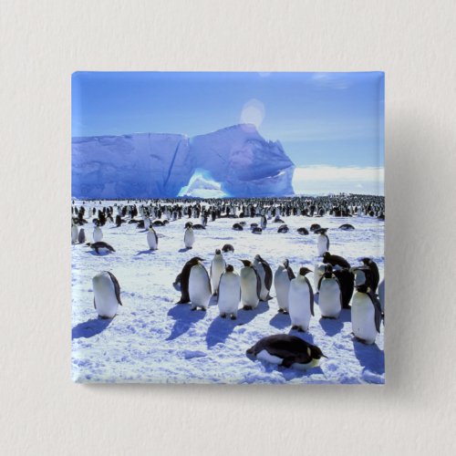 Antarctica Antarctic Peninsula Weddell Sea 5 Pinback Button