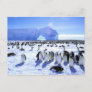 Antarctica, Antarctic Peninsula, Weddell Sea, 5 Postcard