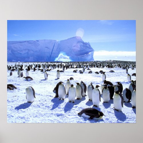 Antarctica Antarctic Peninsula Weddell Sea 5 Poster