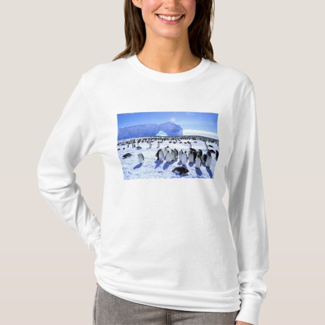 Antarctica, Antarctic Peninsula, Weddell Sea, 5 T-Shirt (Front)