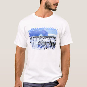 Antarctica, Antarctic Peninsula, Weddell Sea, 5 T-Shirt