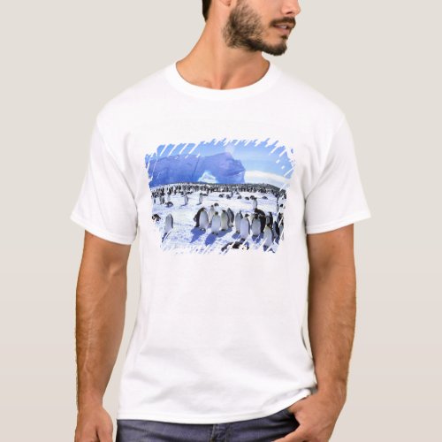 Antarctica Antarctic Peninsula Weddell Sea 5 T_Shirt