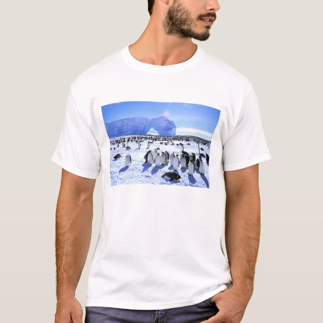 Antarctica, Antarctic Peninsula, Weddell Sea, 5 T-Shirt (Front)