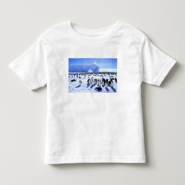 Antarctica, Antarctic Peninsula, Weddell Sea, 5 Toddler T-shirt (Front)