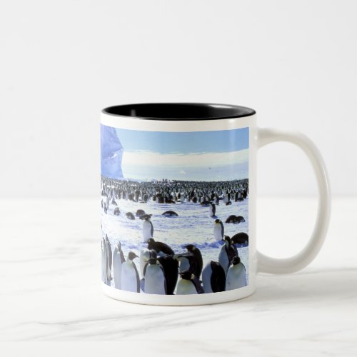 Antarctica Antarctic Peninsula Weddell Sea 5 Two_Tone Coffee Mug