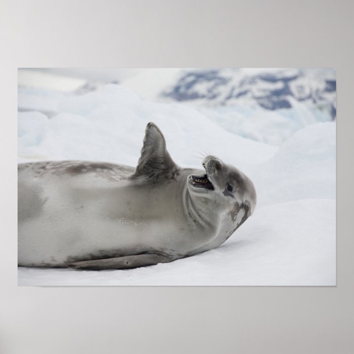 Antarctica, Antarctic Penninsula, Antarctic 2 Print