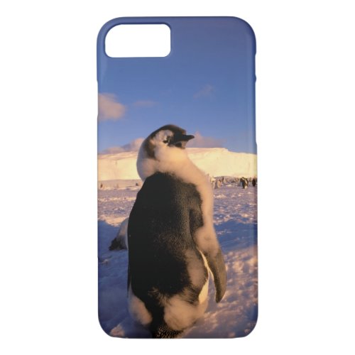 Antarctica Australian Antarctic Territory 2 iPhone 87 Case