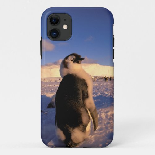Antarctica Australian Antarctic Territory 2 iPhone 11 Case