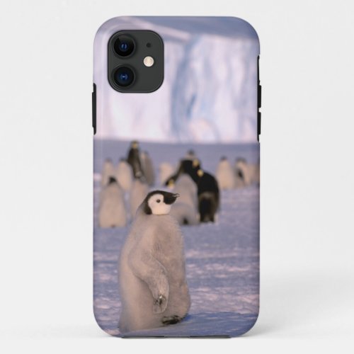 Antarctica Australian Antarctic Territory 3 iPhone 11 Case
