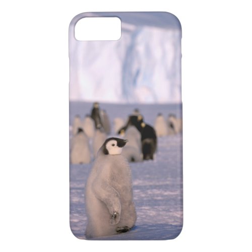 Antarctica Australian Antarctic Territory 3 iPhone 87 Case