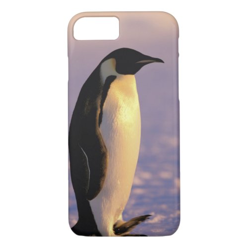 Antarctica Australian Antarctic Territory 4 iPhone 87 Case