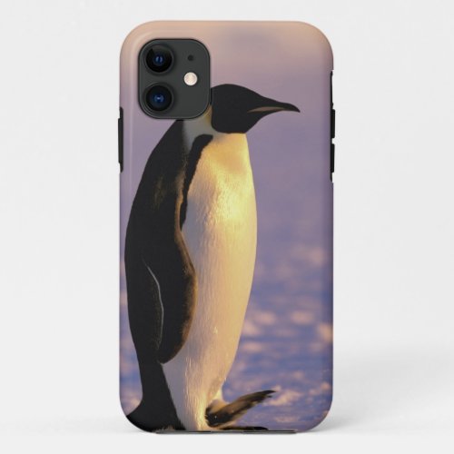 Antarctica Australian Antarctic Territory 4 iPhone 11 Case