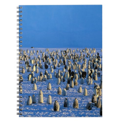 Antarctica Australian Antarctic Territory 5 Notebook