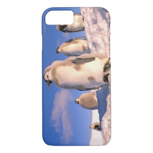 Antarctica Australian Antarctic Territory 6 iPhone 87 Case