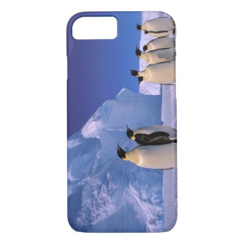 Antarctica Australian Antarctic Territory 7 iPhone 87 Case