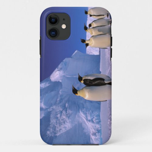 Antarctica Australian Antarctic Territory 7 iPhone 11 Case