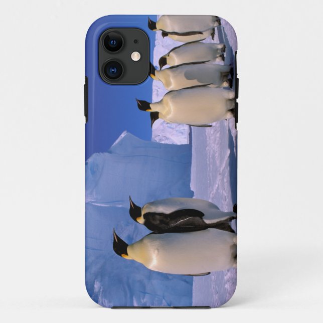 Antarctica, Australian Antarctic Territory, 7 Case-Mate iPhone Case (Back)