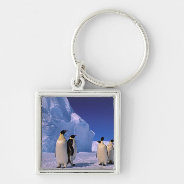 Antarctica, Australian Antarctic Territory, 7 Keychain (Front)