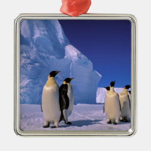 Antarctica, Australian Antarctic Territory, 7 Metal Ornament